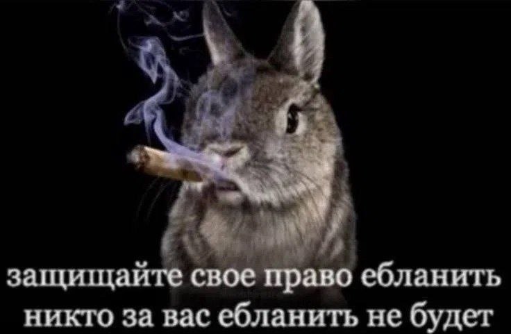 Кролик с сигарой и надписью: «Защищайте свое право ебланить, никто за вас ебланить не будет»