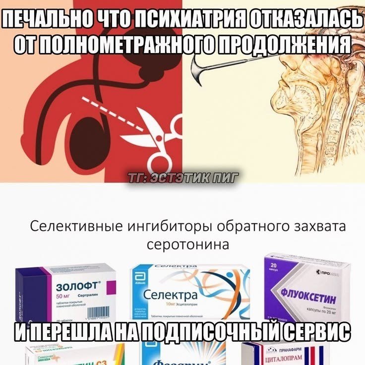 Шутка о психиатрии, антидепрессантах и переходе на подписочный сервис вместо полнометражного продолжения.