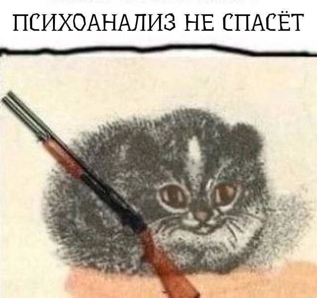 Психоанализ не спасёт Кот с ружьем, надпись: "Психоанализ не спасет"