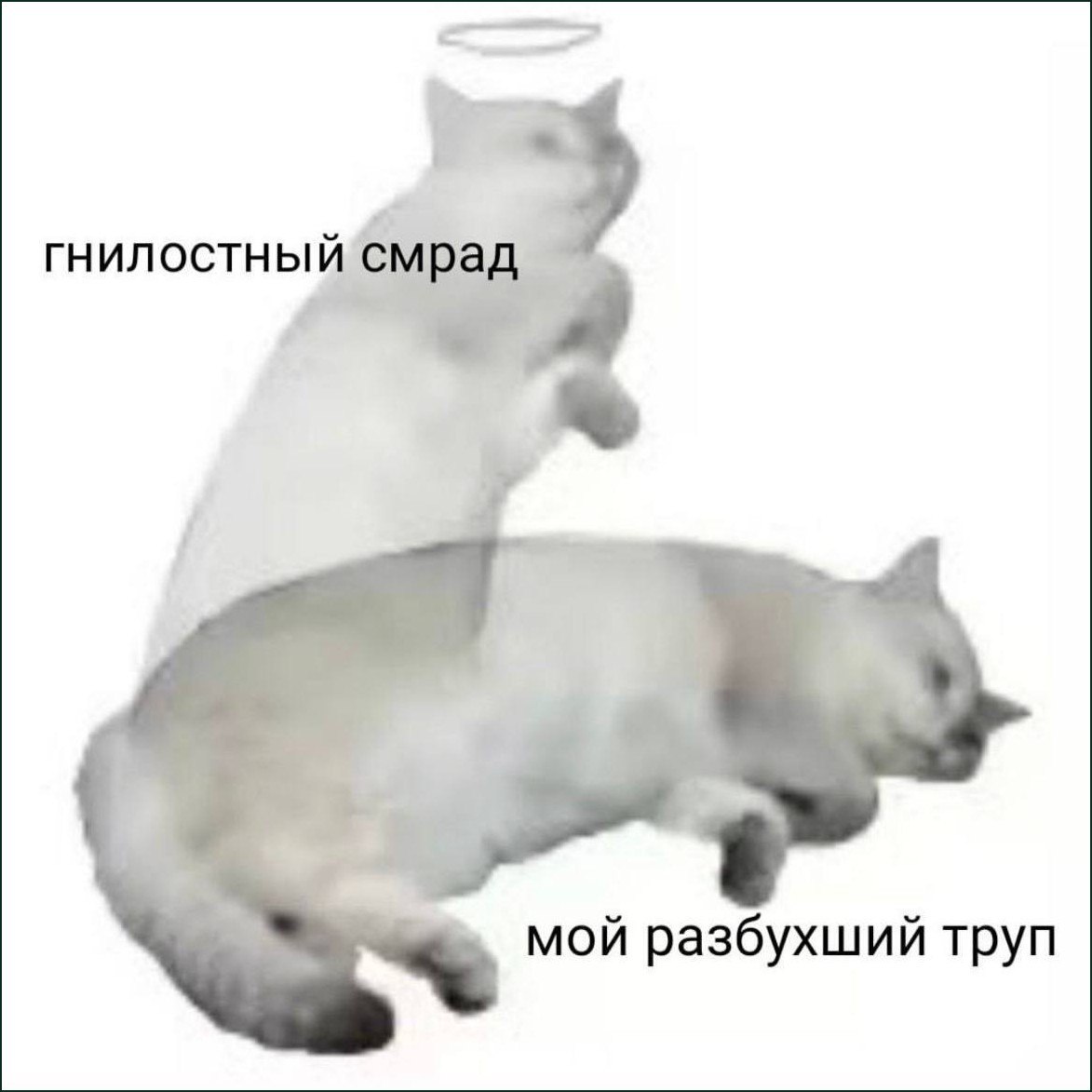 Два белых кота изображают гнилостный смрад и мой разбухший труп.