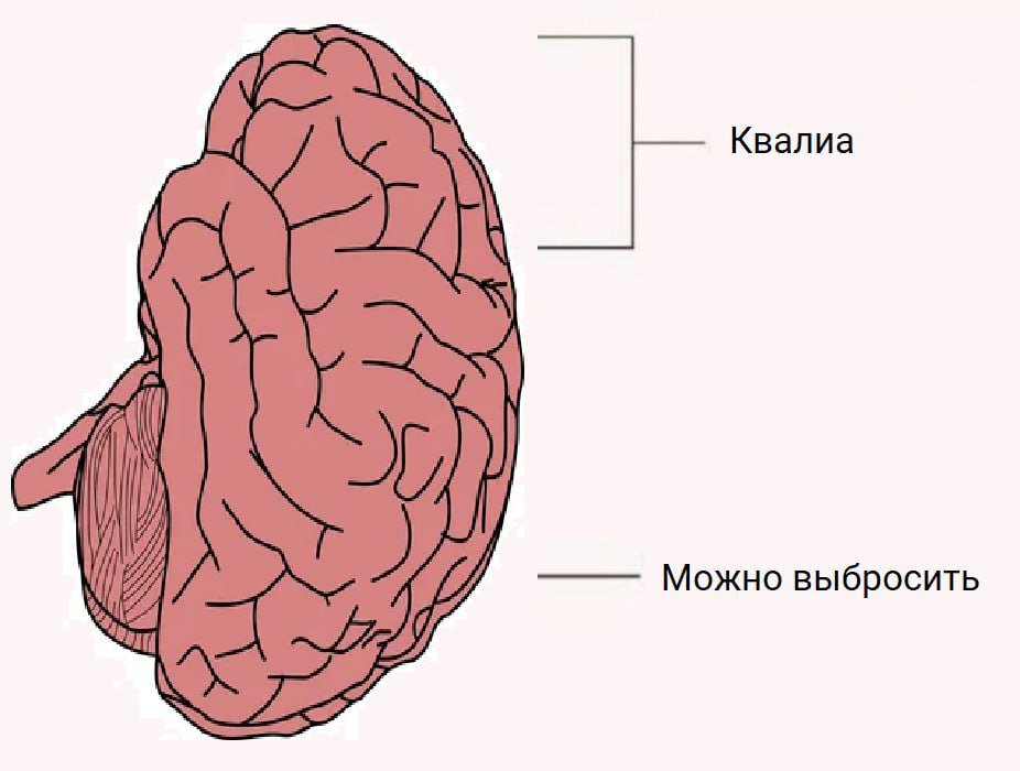 Ироничная схема мозга: квалиа занимают почти всё пространство, а оставшуюся часть можно выбросить.