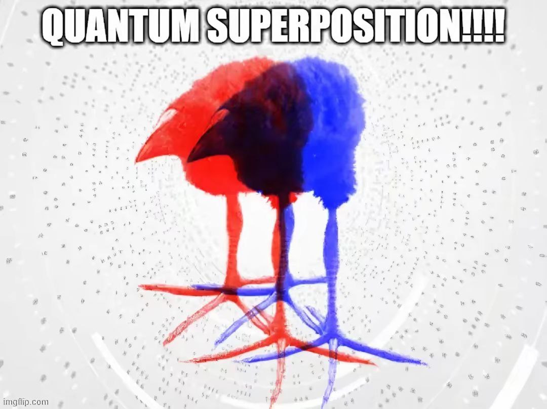 Quantum superposition Мем с птицей в квантовой суперпозиции, красная и синяя птицы одновременно