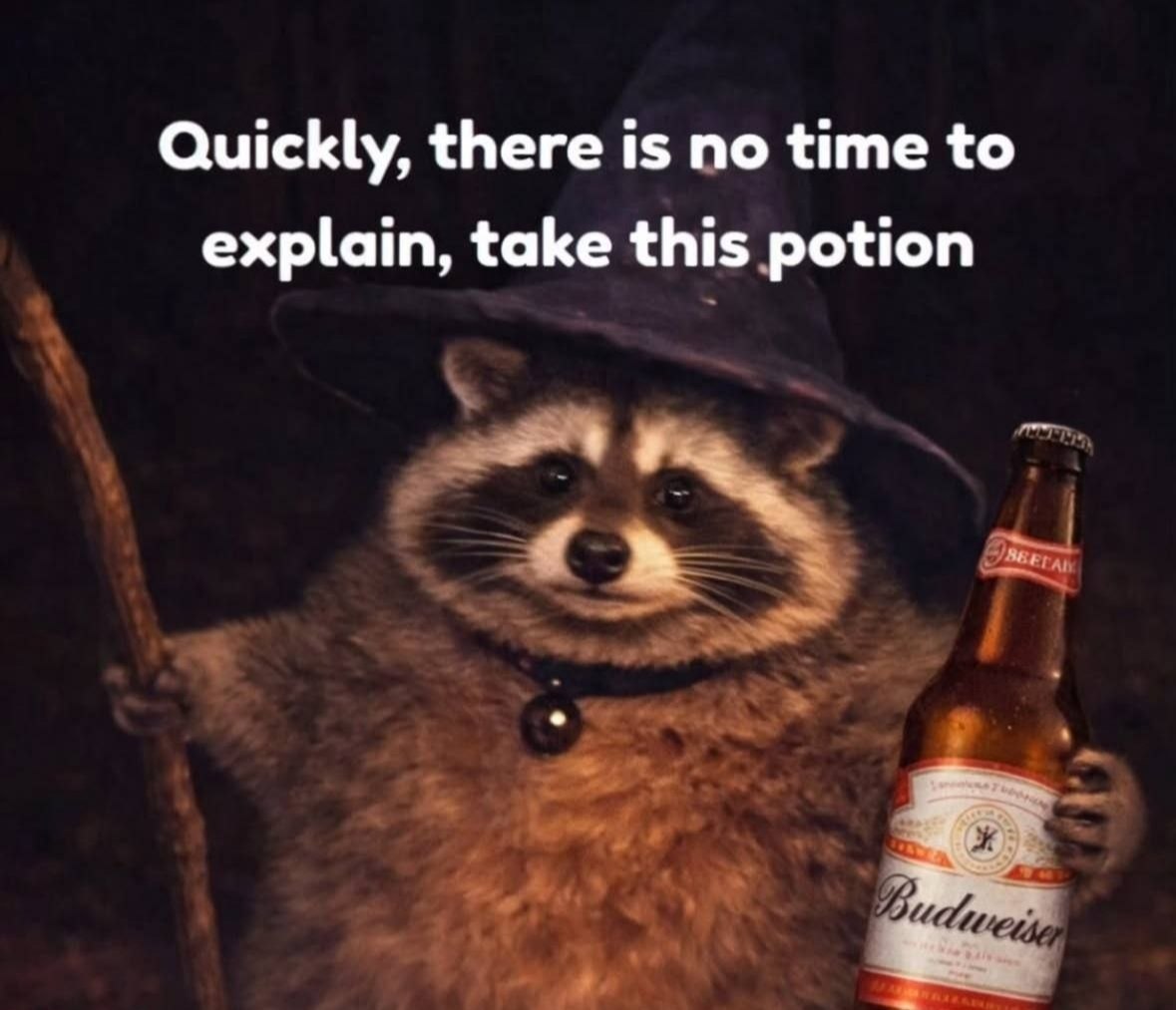 Енот-волшебник с бутылкой Budweiser говорит: «Быстро, нет времени объяснять, возьми это зелье».