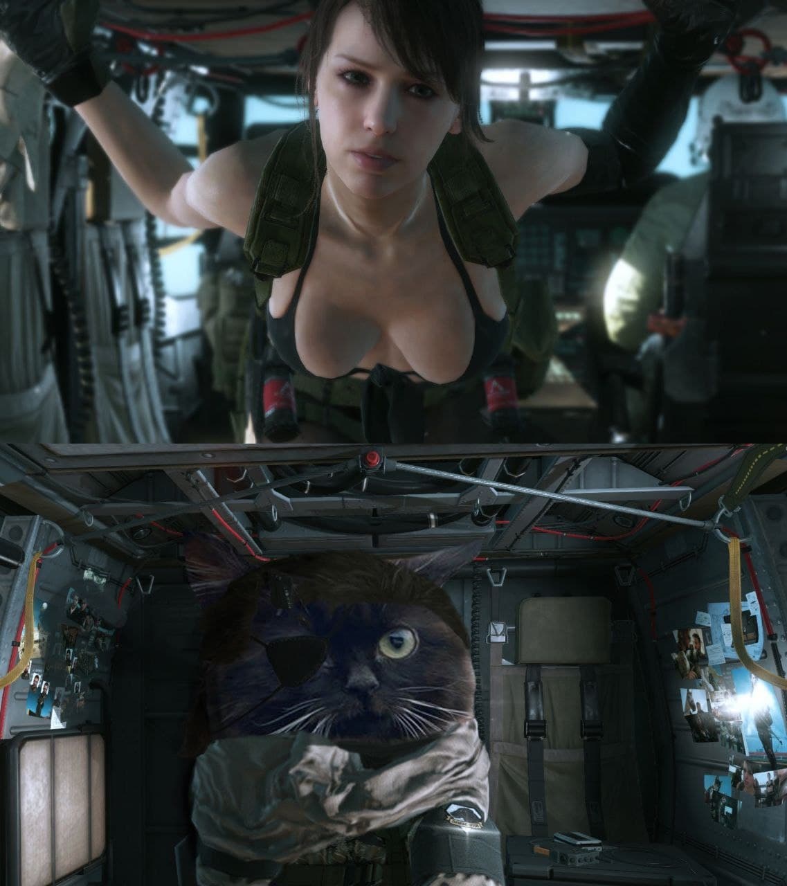 Молчунья и кот в вертолете Молчунья из Metal Gear Solid V и кот с повязкой на глазу в вертолете