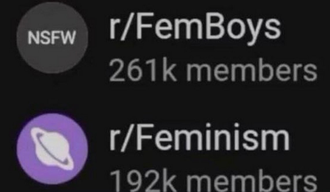 r/FemBoys против r/Feminism Скриншот с Reddit, где количество подписчиков r/FemBoys превышает количество подписчиков r/Feminism. Сверху показан раздел r/FemBoys с пометкой NSFW и 261 тысячей подписчиков, а снизу — r/Feminism с 192 тысячами подписчиков.