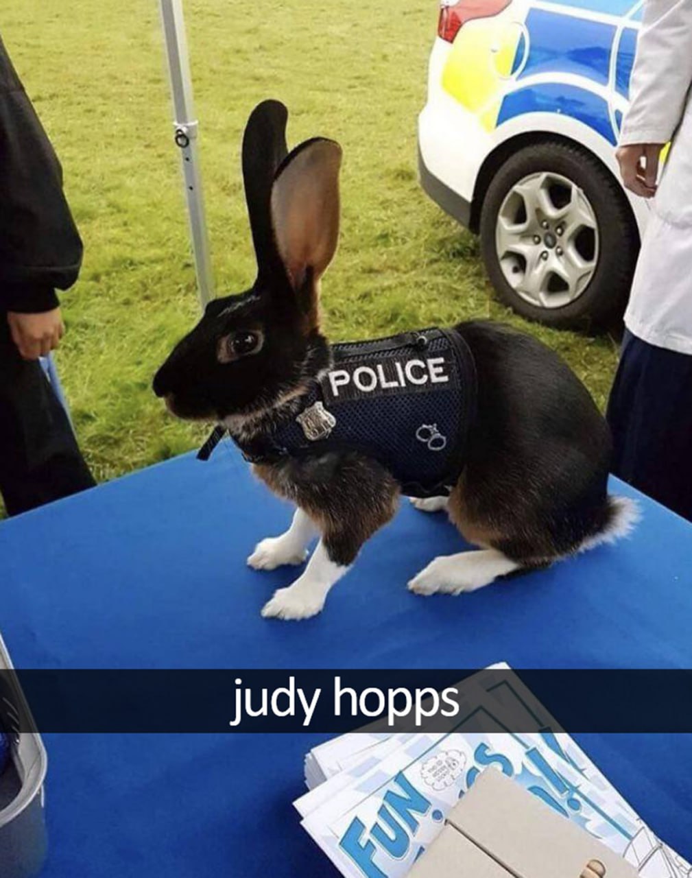 Кролик в полицейской форме Judy Hopps Кролик в полицейской форме Джуди Хоппс
