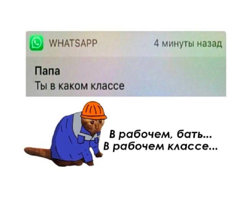 Кот в рабочем классе Кот в робе и каске, отвечающий на вопрос отца о классе, в котором он учится