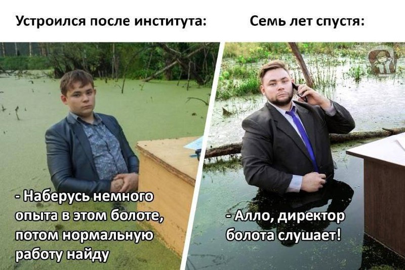 Устроился после института директор болота Мем про парня, который устроился после института в болото, а через семь лет стал директором болота.