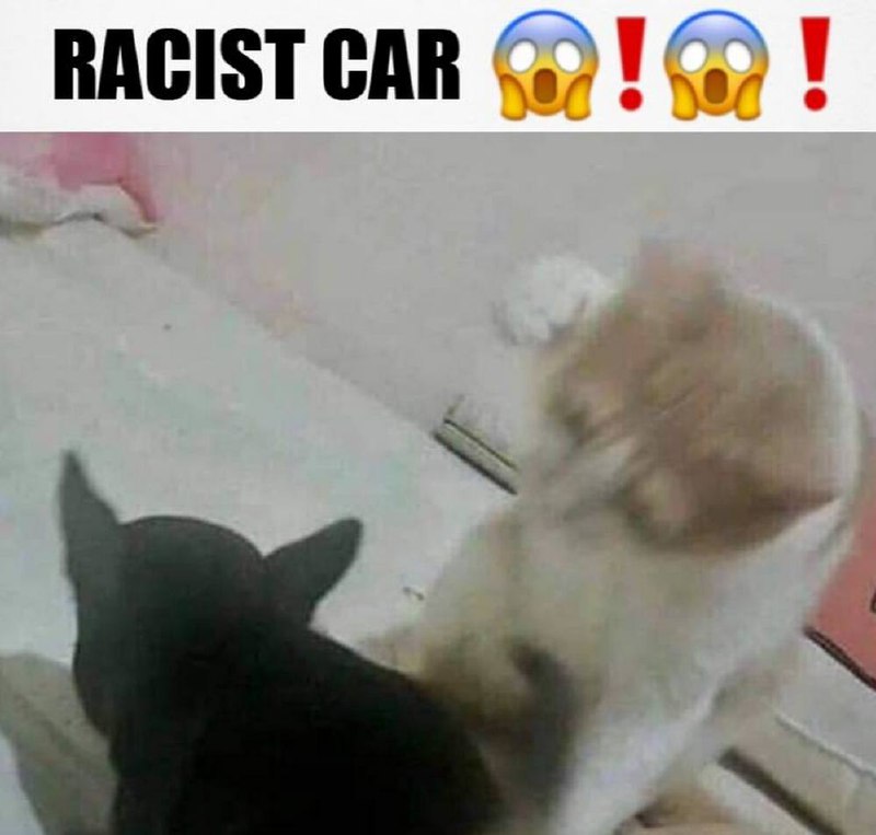 Racist car Мем с котом, который "расистская машина", "врезается" в черного щенка.