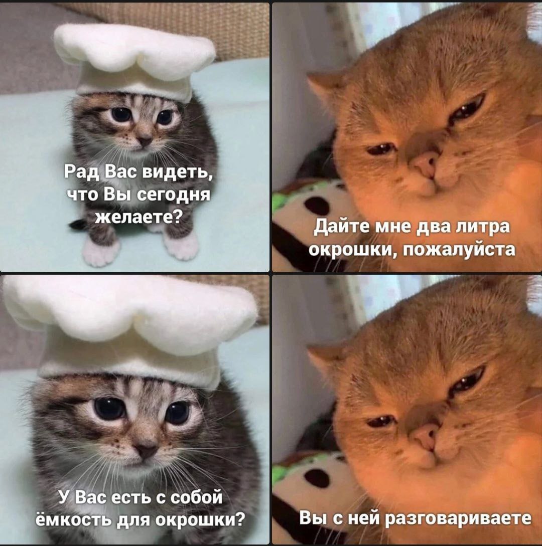Рад вас видеть что вы сегодня желаете Кот шеф-повар и кот-клиент обсуждают окрошку в меме из четырех панелей.