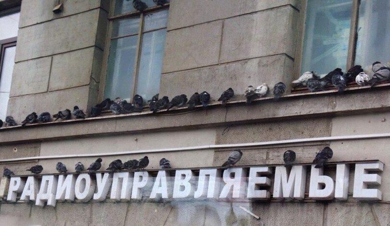 Радиоуправляемые голуби Голуби, сидящие на вывеске "Радиоуправляемые"