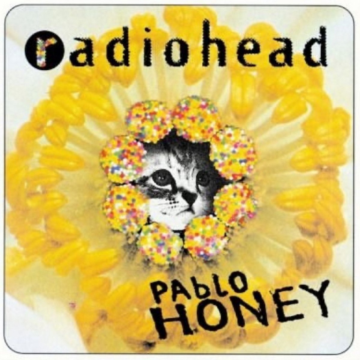 Котенок на обложке Radiohead Pablo Honey Милый котенок в центре желтого цветка, окруженный "тычинками" из сладостей, на обложке музыкального альбома Radiohead. Котенок выглядит немного грустным или задумчивым.
