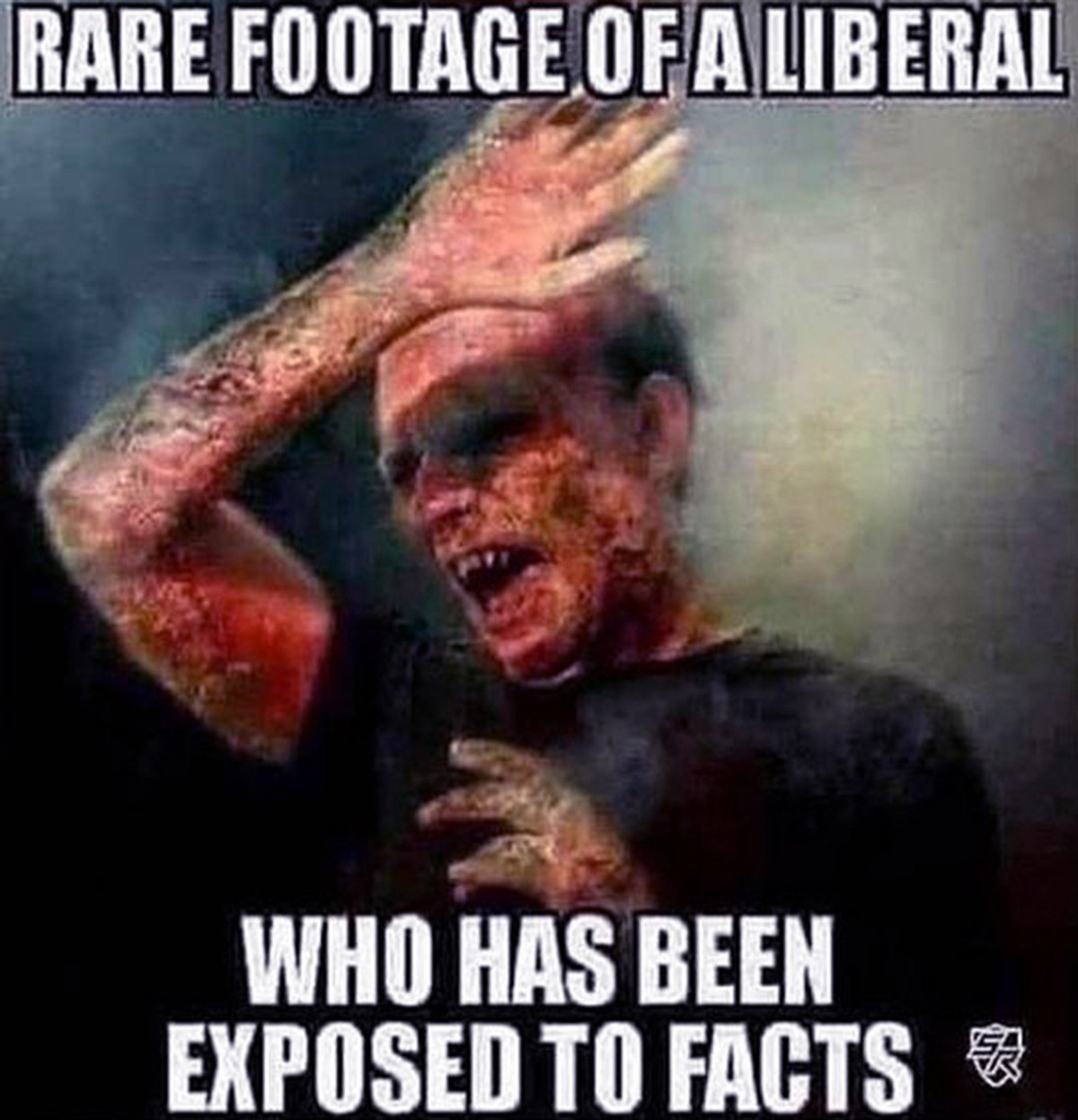 Rare footage of a liberal exposed to facts Редкие кадры либерала, который был подвергнут фактам