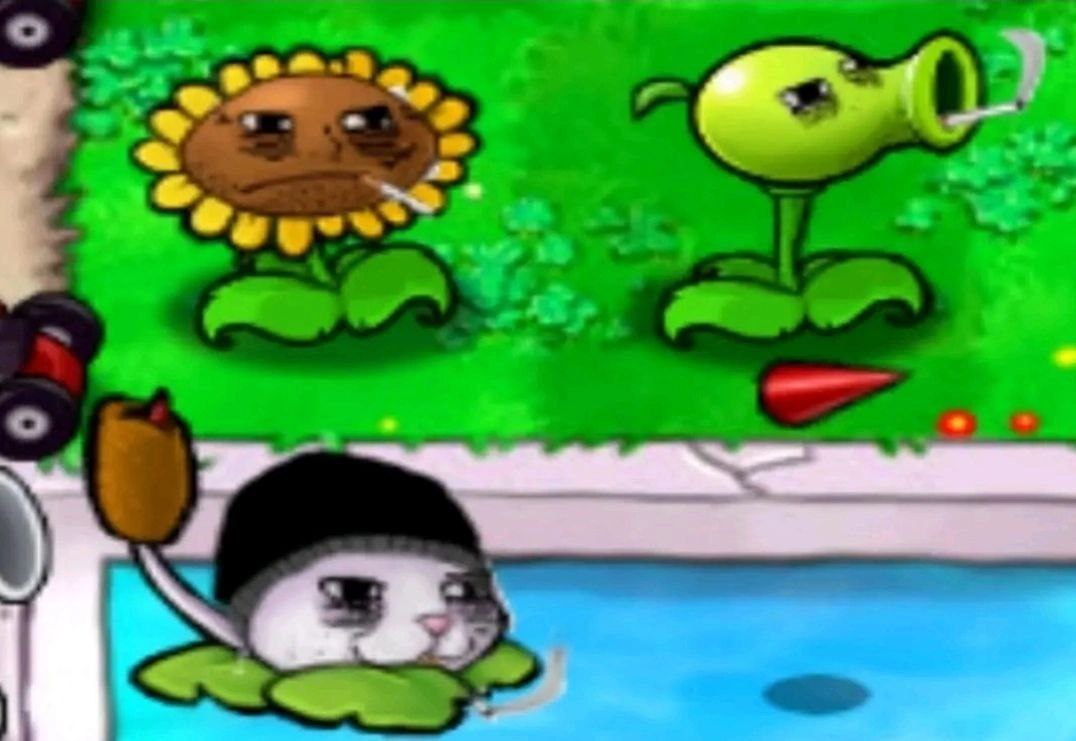 Растения-курильщики из Plants vs Zombies Мем с растениями-курильщиками из игры Plants vs Zombies.