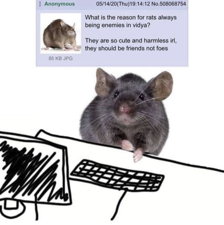 Крыса за компьютером пишет пост на 4chan Крыса сидит за компьютером и пишет пост на 4chan о том, почему крысы в видеоиграх всегда враги