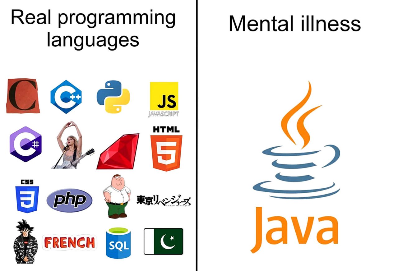 Real programming languages Mental illness Мем «Real programming languages Mental illness» высмеивает язык программирования Java, представляя его как «психическое заболевание» на фоне других «настоящих языков программирования»