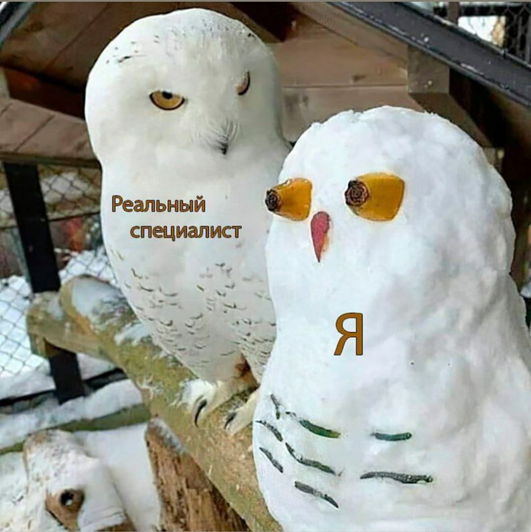 Реальный специалист и я Мем "Реальный специалист и я" с полярной совой и снеговиком-совой