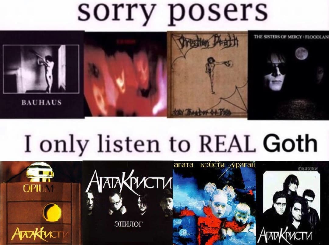 Только настоящий гот Мем с надписью «Sorry posers. I only listen to REAL Goth» и обложками готических групп, а также обложками «Агаты Кристи».