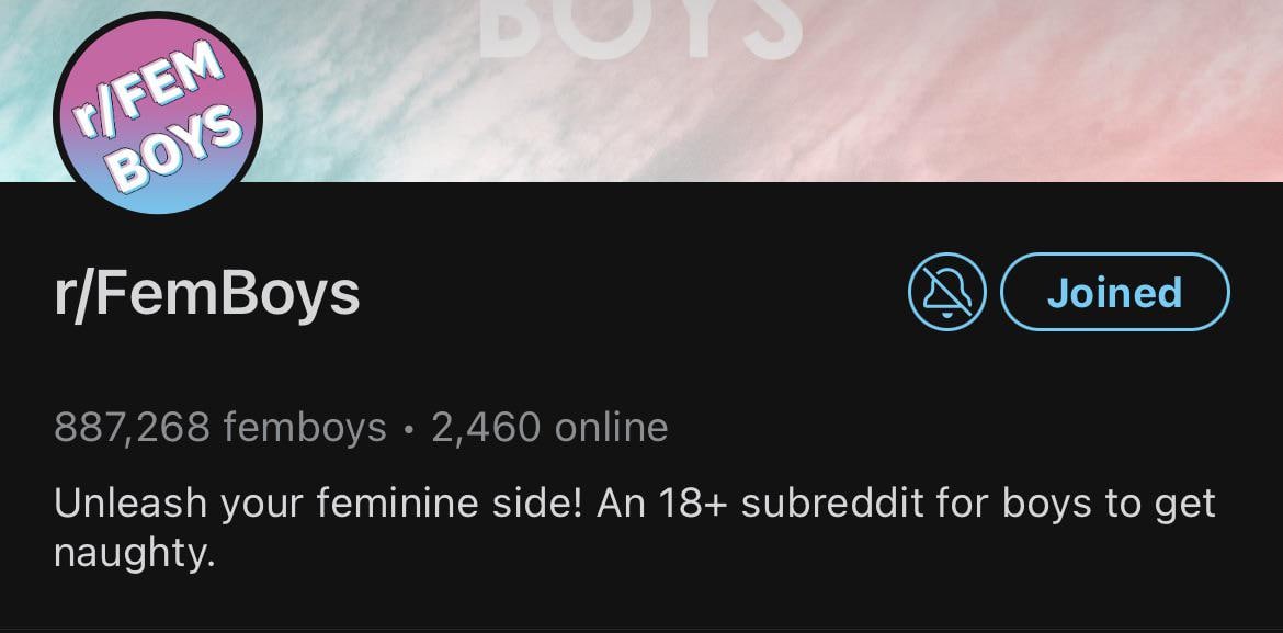 Сабреддит r/FemBoys Скриншот страницы сабреддита r/FemBoys на Reddit