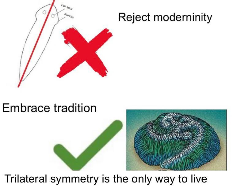 Reject modernity, embrace tradition Мем "Отвергни современность, прими традиции" с изображением плоского червя планарии, символизирующего двустороннюю симметрию, и трёхлучевого существа
