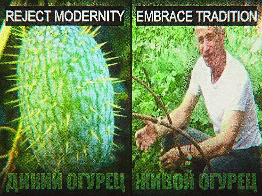 Reject modernity, embrace tradition Мем про дикий огурец и живого огурца с надписями «Reject modernity» и «Embrace tradition»