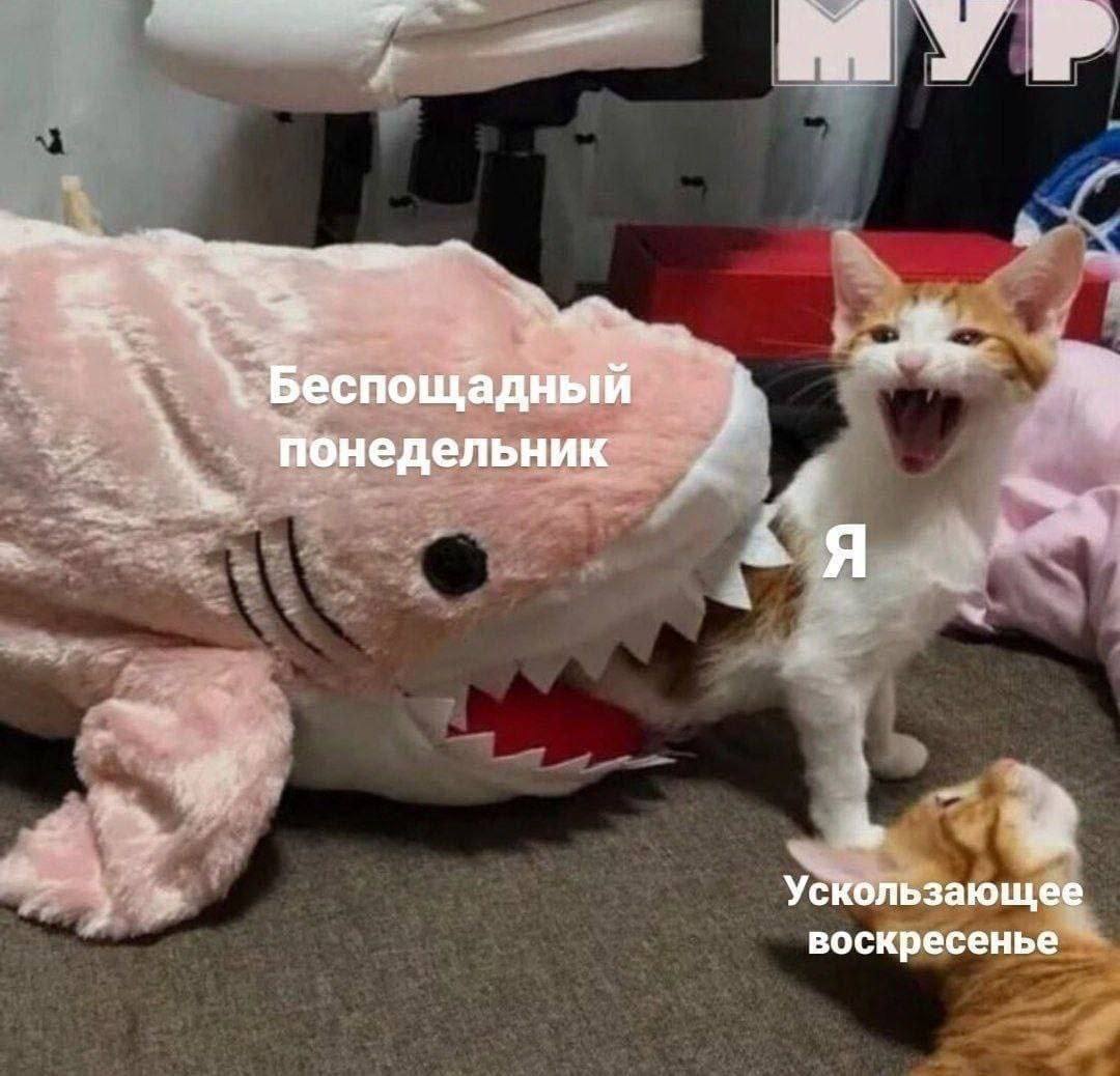 Беспощадный понедельник кот Кот в пасти акулы, с подписями «Беспощадный понедельник», «Я» и «Ускользающее воскресенье».