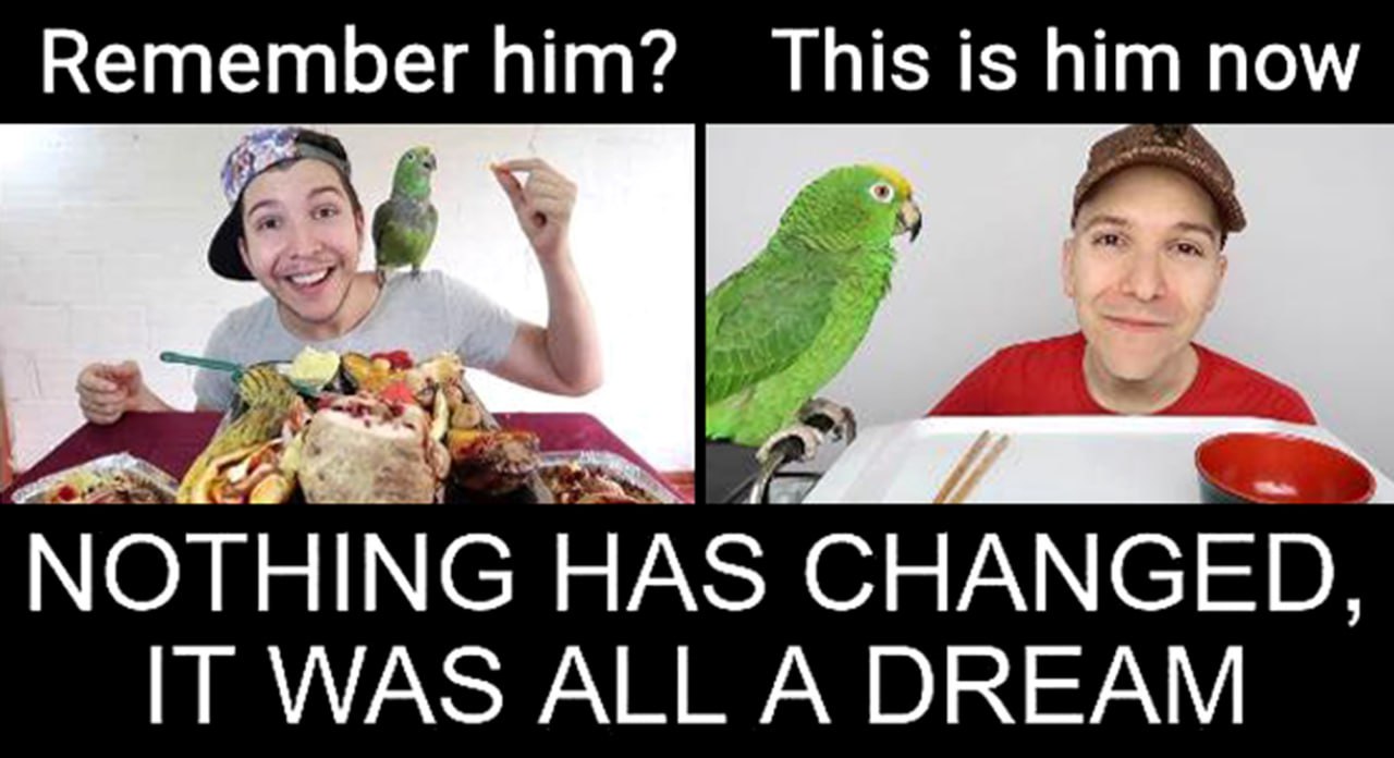 Remember him? This is him now Мем с Никокадо Авокадо и попугаем, где он до и после похудения