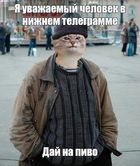 Я уважаемый человек в нижнем телеграмме Я уважаемый человек в нижнем телеграмме. Дай на пиво