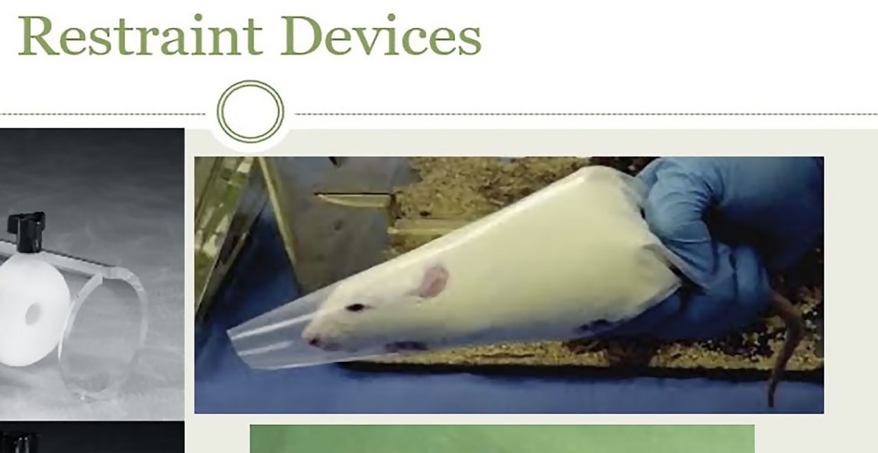 Restraint Devices Устройства для фиксации