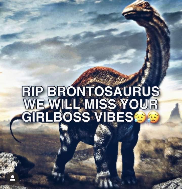 RIP Brontosaurus, We Will Miss Your Girlboss Vibes Мем с бронтозавром и надписью RIP Brontosaurus We Will Miss Your Girlboss Vibes