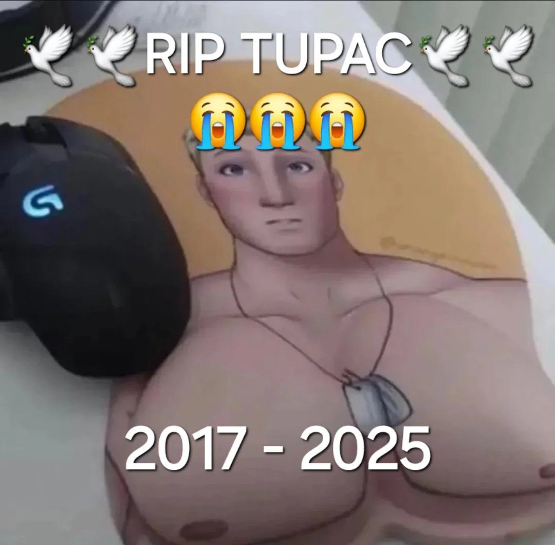 RIP Тупак 2017 - 2025 RIP Тупак, 2017 - 2025: коврик для мыши с изображением Джонси из Fortnite с большой грудью и мышкой Logitech сверху. Скорбящие эмодзи и голуби мира на фоне.
