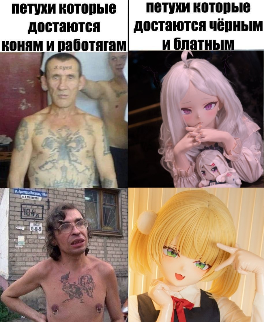 Мем с татуированными мужчинами и аниме-девушками, сравнивающий петухов для коней и работяг с петухами для чёрных и блатных.