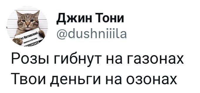 Розы гибнут на газонах, твои деньги на озонах Мем с котом "Котовским" из Твиттера "Розы гибнут на газонах, твои деньги на озонах"