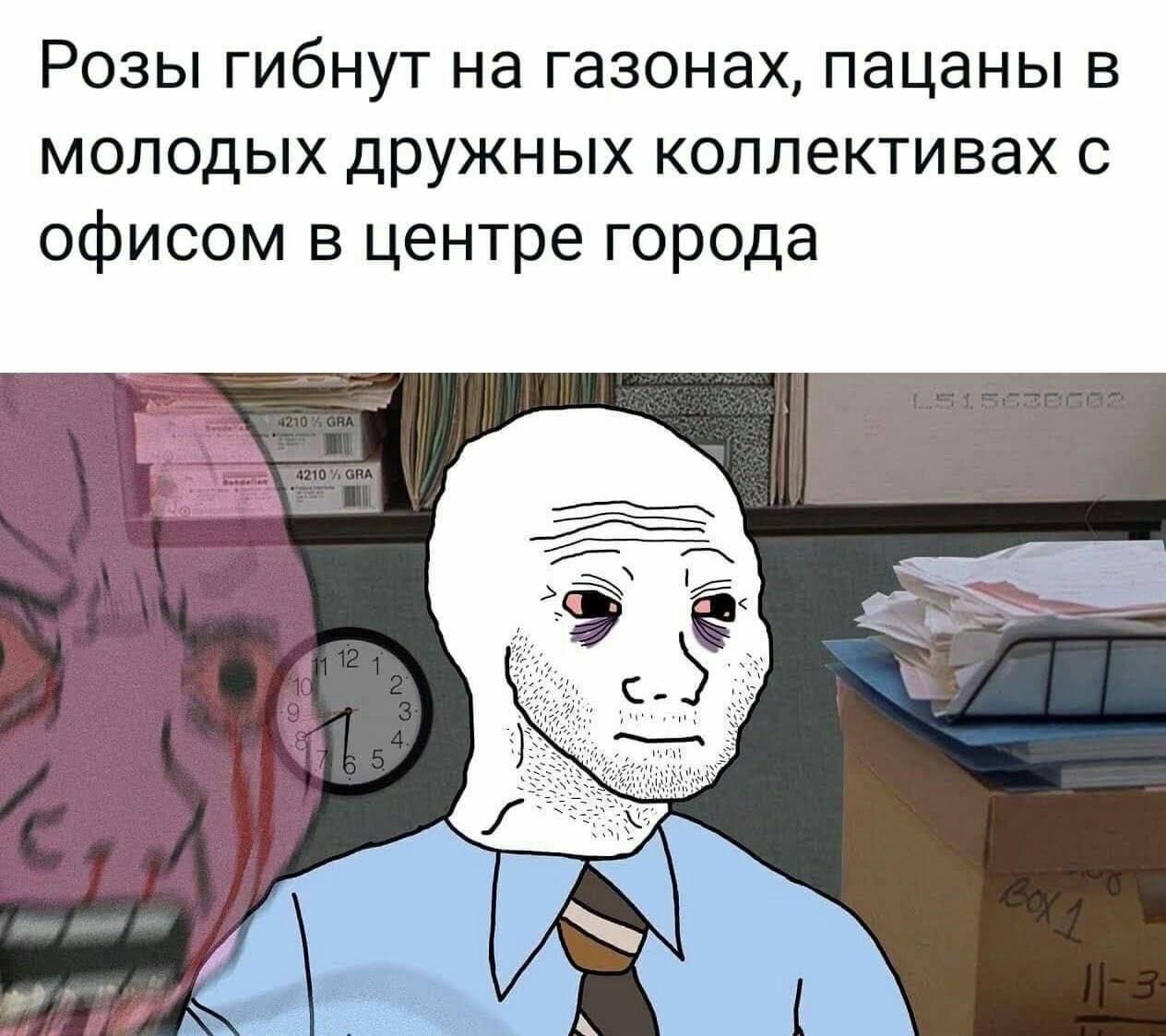 Розы гибнут на газонах, пацаны в молодых дружных коллективах Уставший вояк в офисе на фоне внутреннего крика