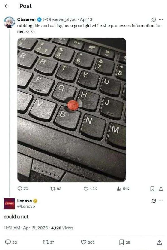 Rubbing this and calling her a good girl Мем с поглаживанием TrackPoint и реакцией Lenovo