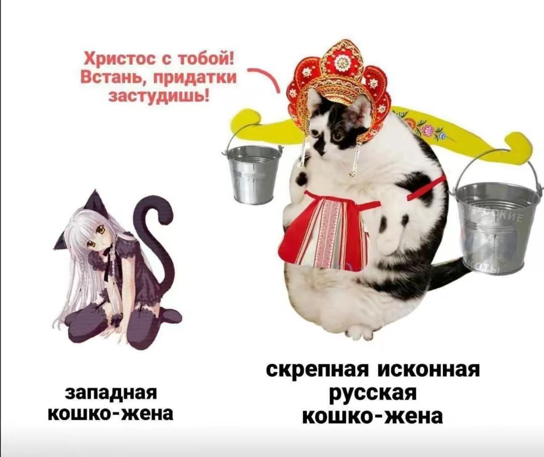 Скрепная русская кошко-жена Скрепная исконная русская кошко-жена