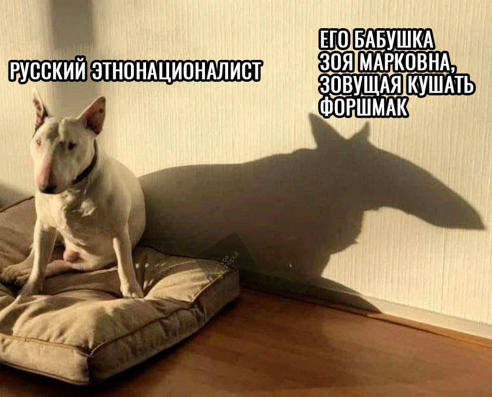 Русский этнонационалист и его бабушка Мем с собакой бультерьером и ее тенью, где бультерьер это «русский этнонационалист», а его тень – «бабушка Зоя Марковна, зовущая кушать форшмак».