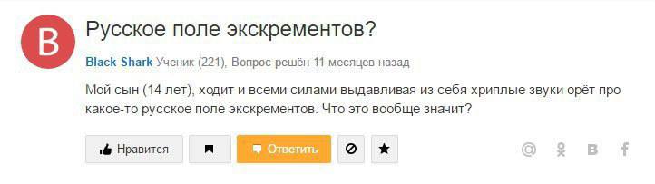 Вопрос пользователя о фразе "Русское поле экскрементов", которую кричит его 14-летний сын