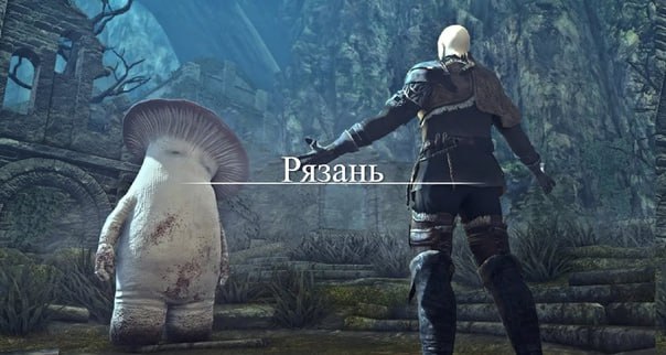 Рязань и грибной человек Персонаж из Dark Souls смотрит на грибного человека, а на экране написано «Рязань»