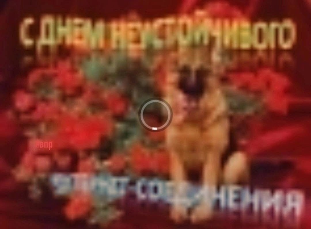 Размытая поздравительная картинка с цветами и котом в центре, с надписью «С днём неустойчивого интернет соединения»