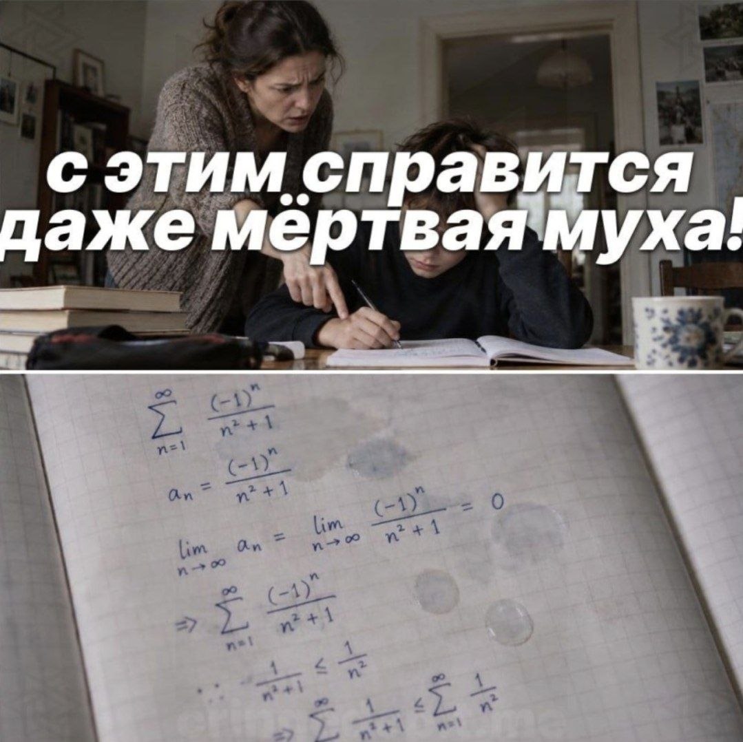 Женщина помогает ребёнку решить сложную задачу по математике, а над ними написано: «С этим справится даже мёртвая муха!»