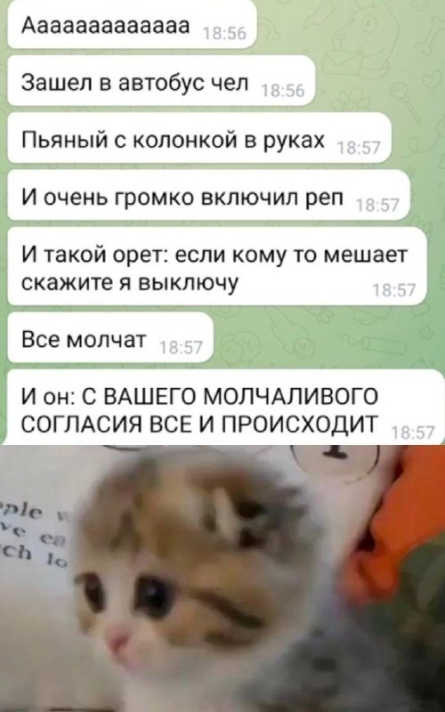 С вашего молчаливого согласия все и происходит Переписка из чата о пьяном мужчине с колонкой в автобусе, которая заканчивается словами "С вашего молчаливого согласия все и происходит" на фоне грустного котенка.