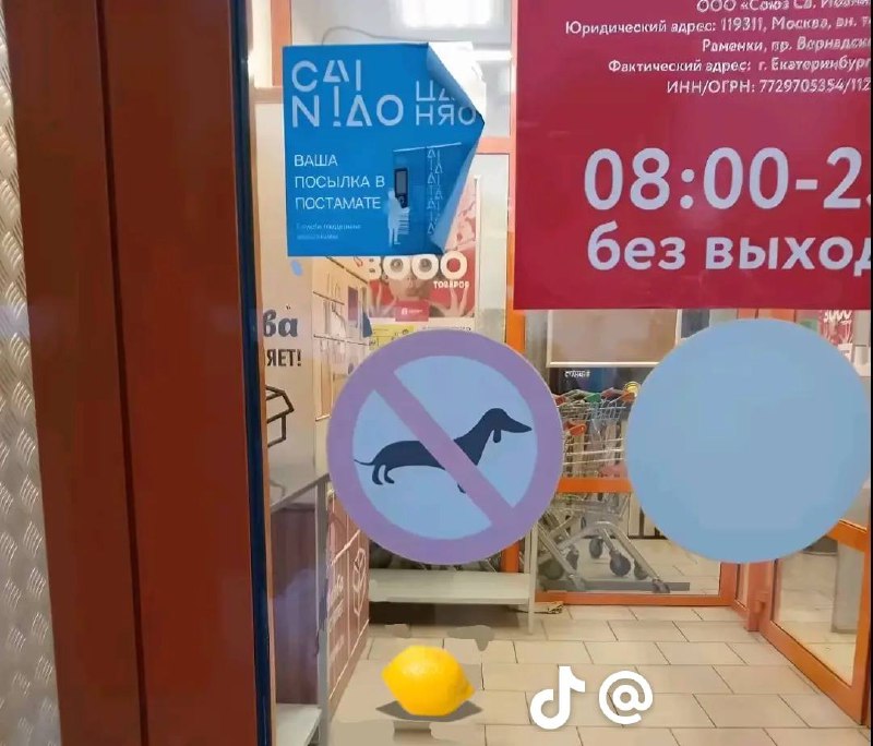 Са! N!ДО Ц. Няо Мем с надписью «Са! N!ДО Ц. Няо», где изображена наклейка с запретом на собак и лимон перед входом в магазин, часы работы которого с 8 утра до 11 вечера без выходных
