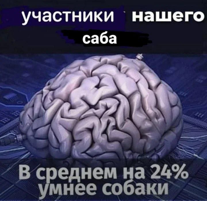 Участники нашего саба в среднем на 24% умнее собаки На картинке изображен человеческий мозг на фоне микросхем, а сверху и снизу от него расположены надписи, часть из которых закрашена черным. Судя по всему, мем используется для демонстрации "высокого" интеллекта участников какого-то саба, то есть сообщества, возможно, на Reddit или другом форуме.