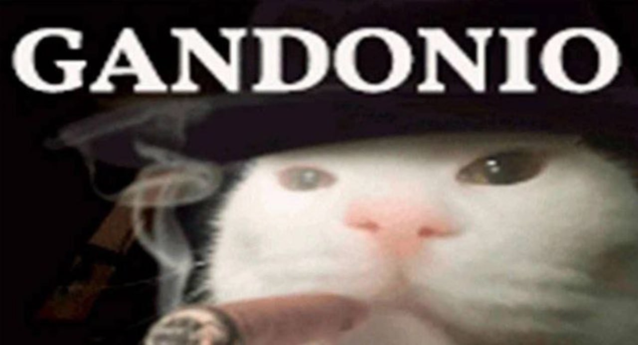 Кот с сигарой и надписью Gandonio Грустный кот в шляпе с сигарой и надписью Gandonio