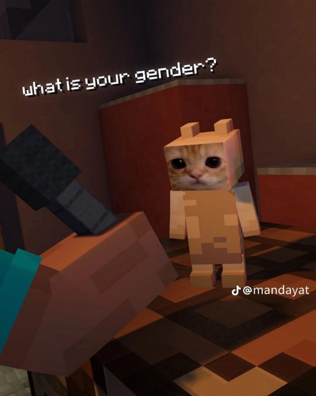 Грустный кот в Minecraft what is your gender Грустный кот в Minecraft, которого Стив спрашивает о его поле