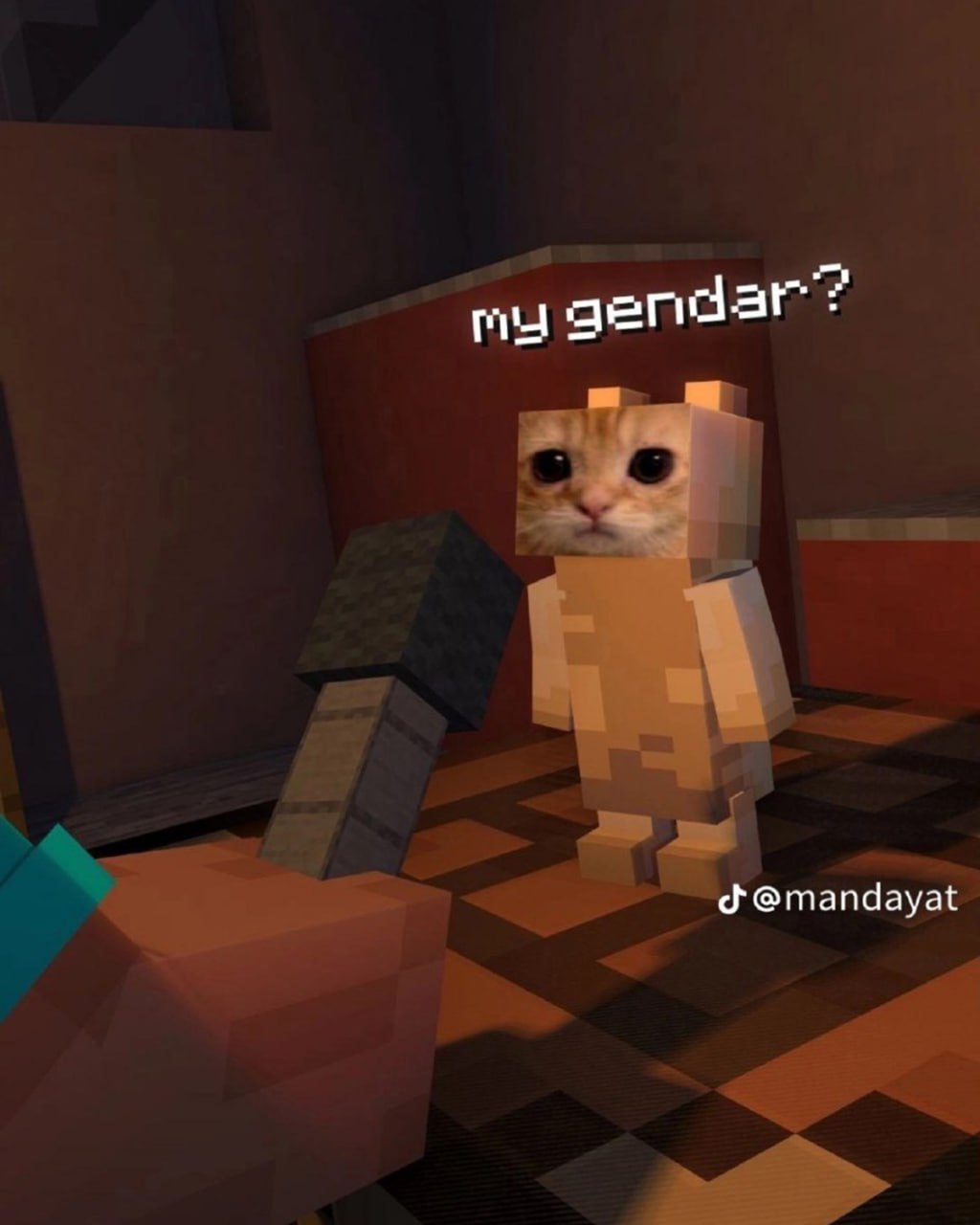 My gendar? Грустный кот в майнкрафте Грустный кот в майнкрафте спрашивает "My gendar?"