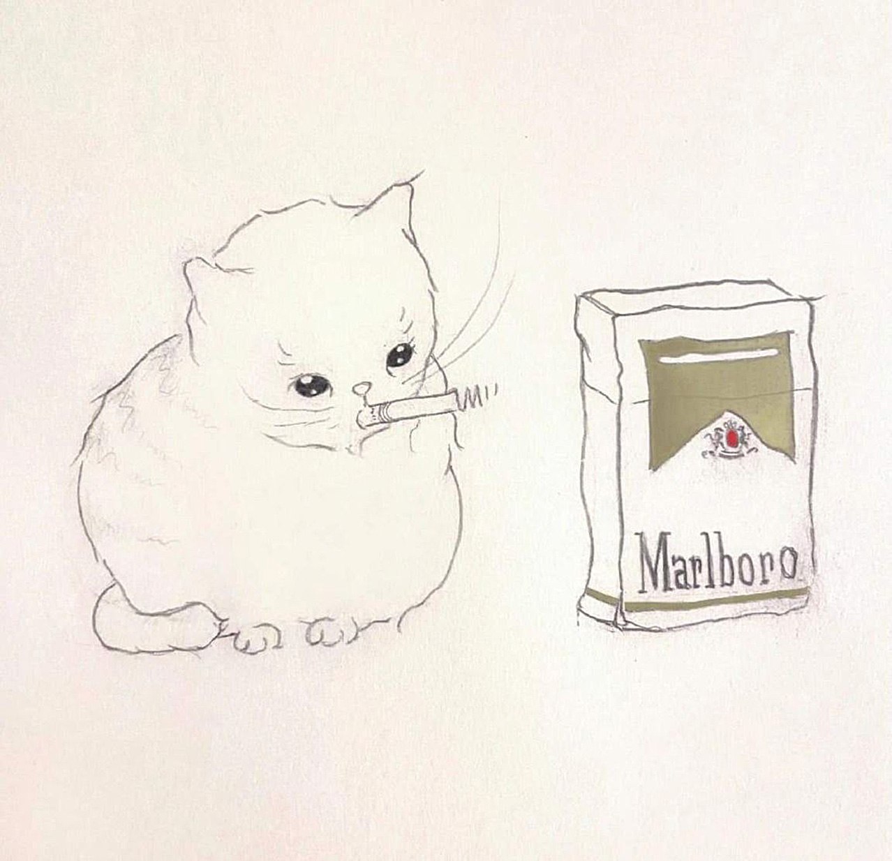 Грустный кот курит Печальный кот курит сигарету Marlboro