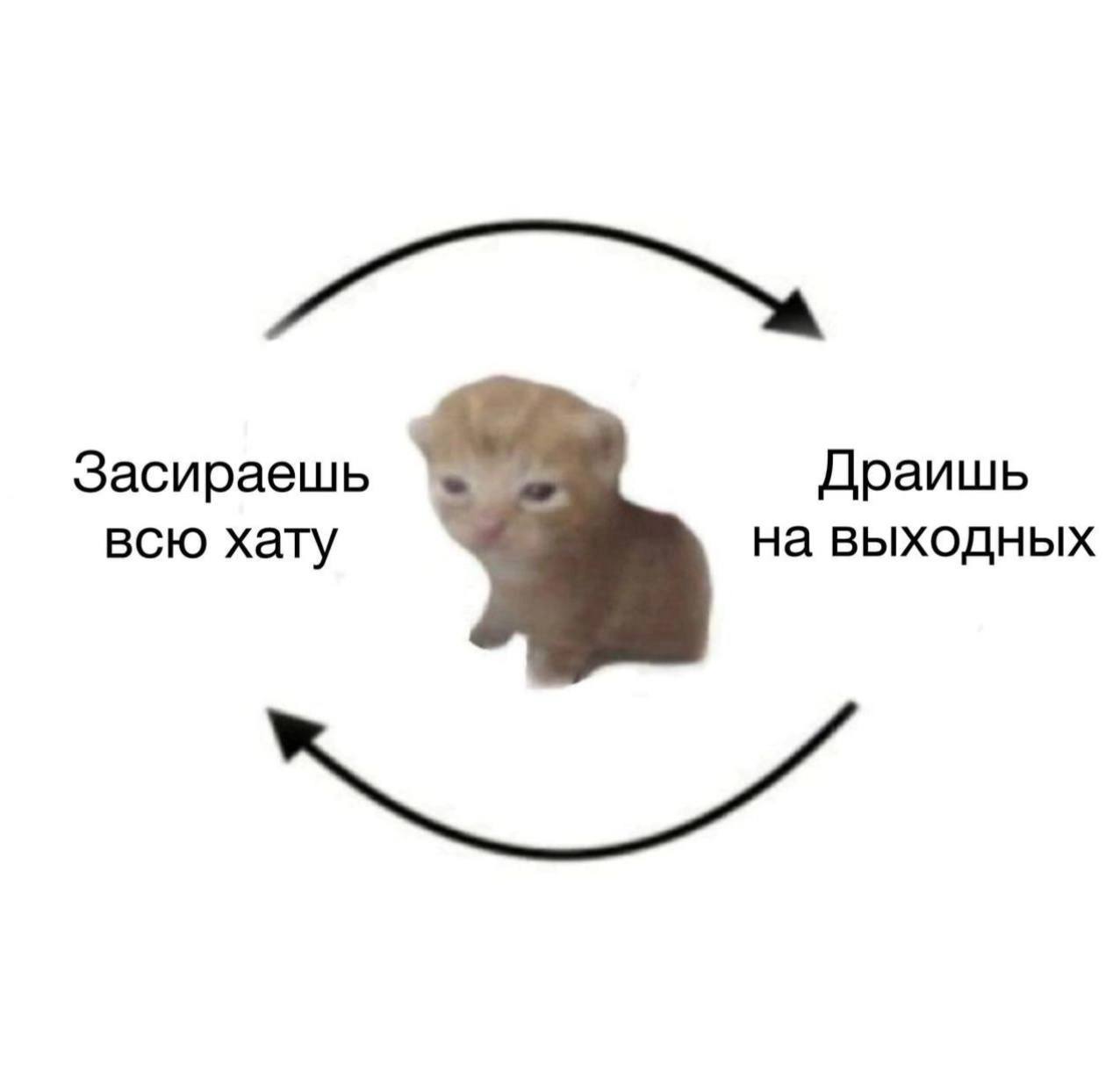 Круговорот уборки дома Маленький грустный котенок и круговорот уборки дома.