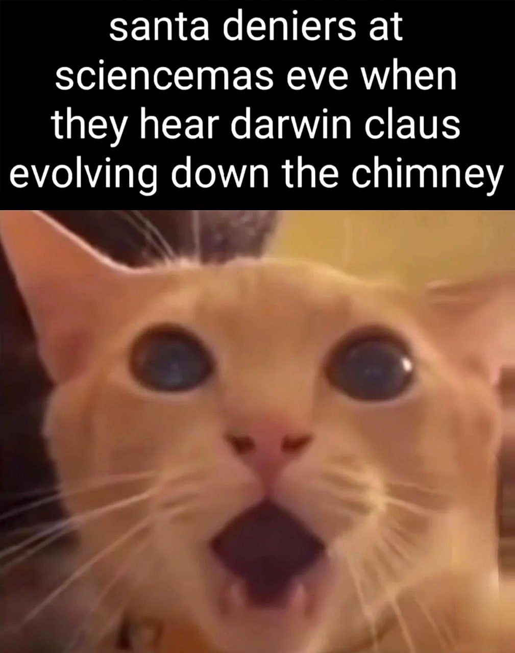 Santa deniers at sciencemas eve when they hear Darwin Claus Удивленный кот с открытым ртом слышит, как Дарвин Клаус спускается по дымоходу.
